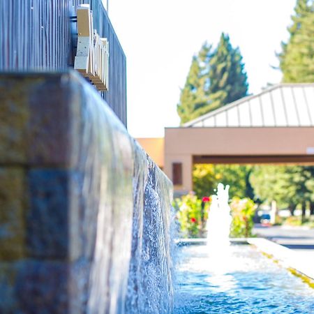 Napa Valley Marriott Hotel & Spa Dış mekan fotoğraf